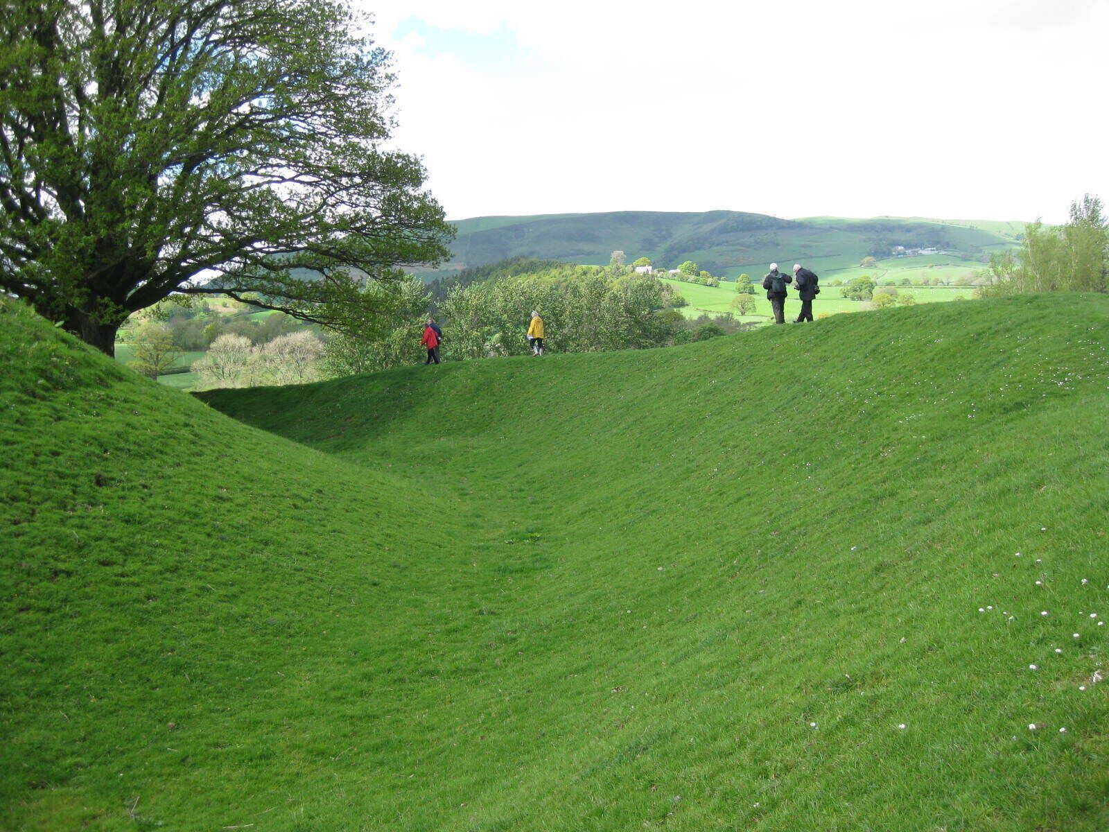 A grassy hill with a large tree on the left and a few people walking in the distance.