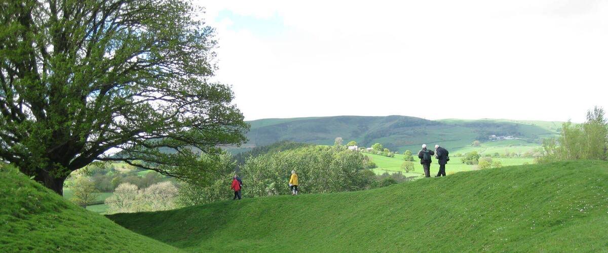 A grassy hill with a large tree on the left and a few people walking in the distance.