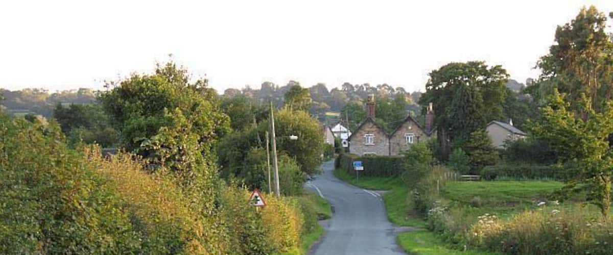 A rural road curving through a green landscape with houses in the distance.