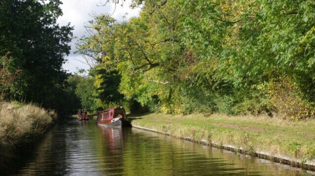 Llangollen Canal near Henlle Hall. A peaceful stretch of canal between Preeshenlle Bridge and Belmont Bridge.