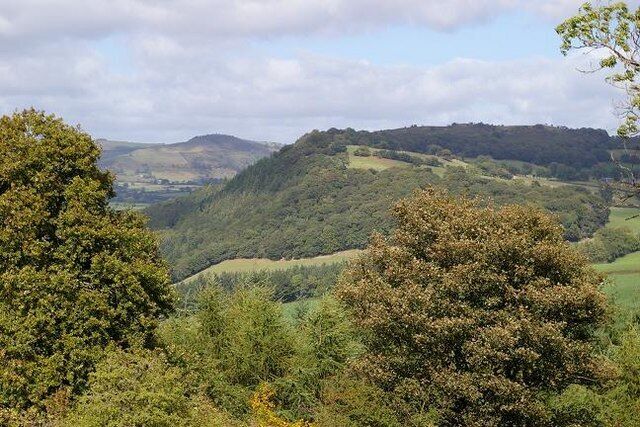 Mynydd y Bryn from the south