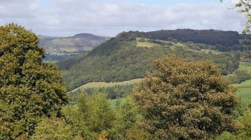 Mynydd y Bryn from the south