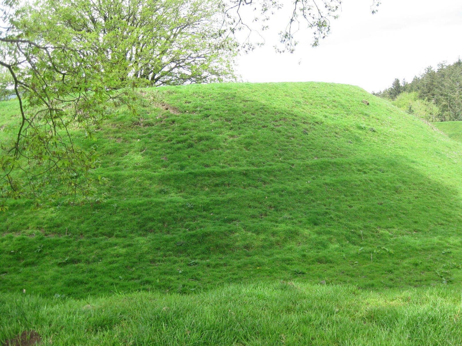 Sycharth, Motte and Bailey Castle, Llansilin, Powys