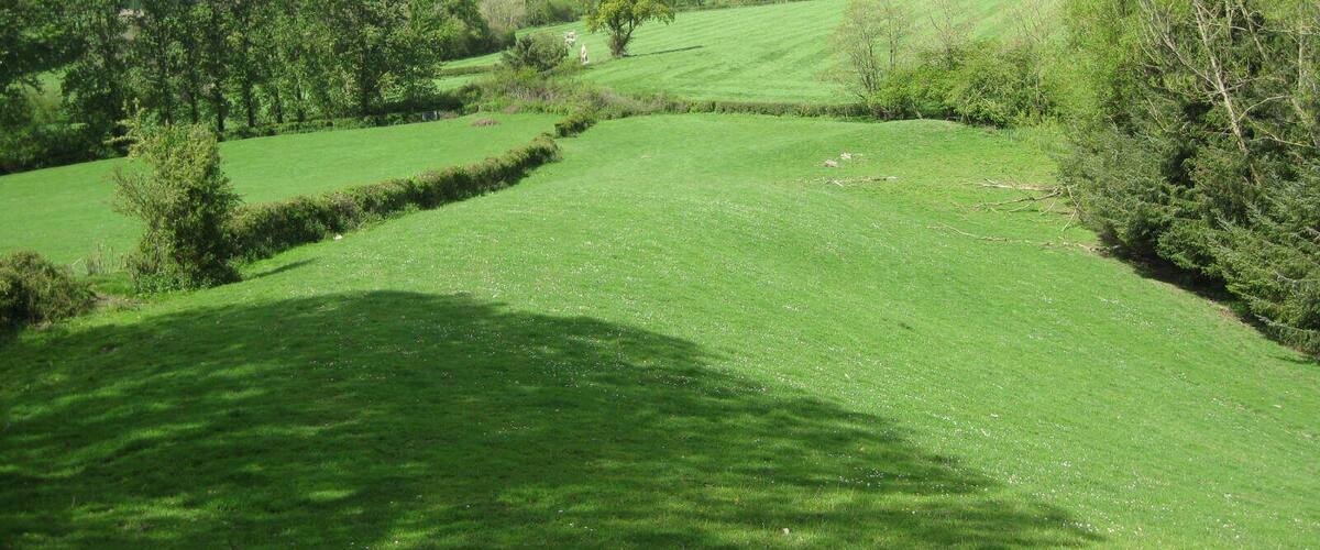 Sycharth, Motte and Bailey Castle, Llansilin, Powys