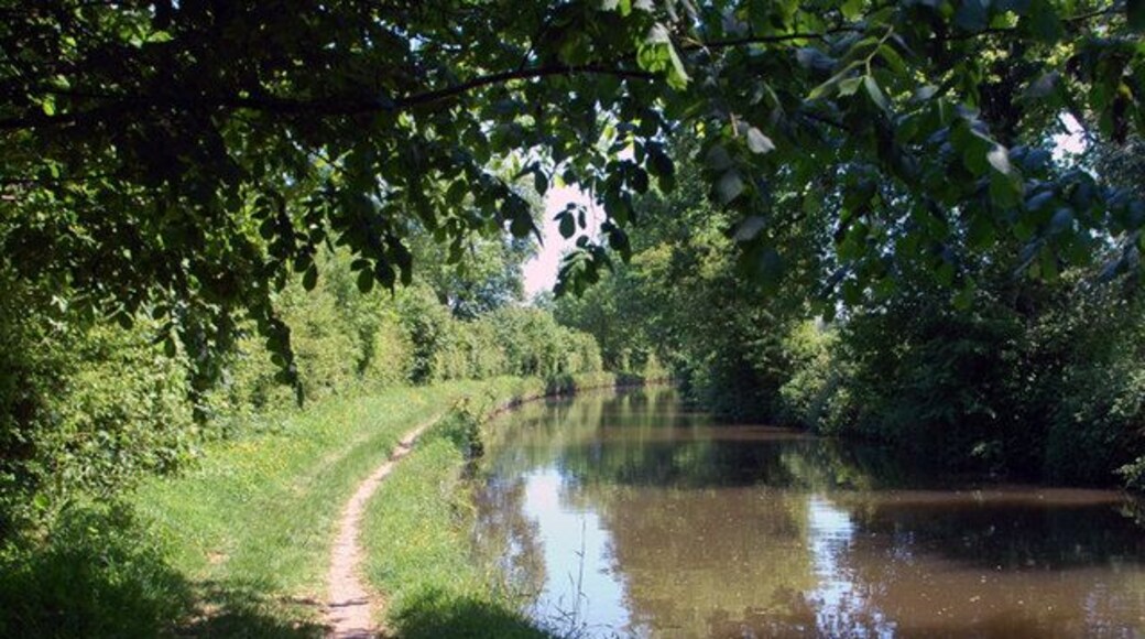 A quiet moment on the Llangollen Canal.