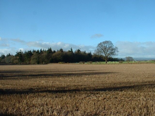 Lord Bradford's Fox Covert There must be a story behind the name of this wood, but Google doesn't find anything.