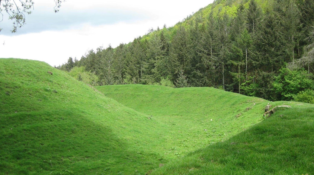 Sycharth, Motte and Bailey Castle, Llansilin, Powys