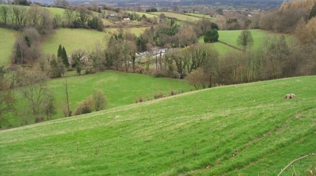 View from the B4579 In the centre of the photo are greenhouses. The Cheshire Plain is in the background.