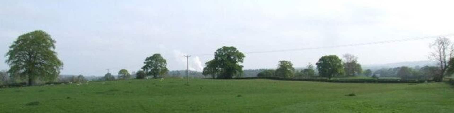 Field with steam from Chirk in the distance.