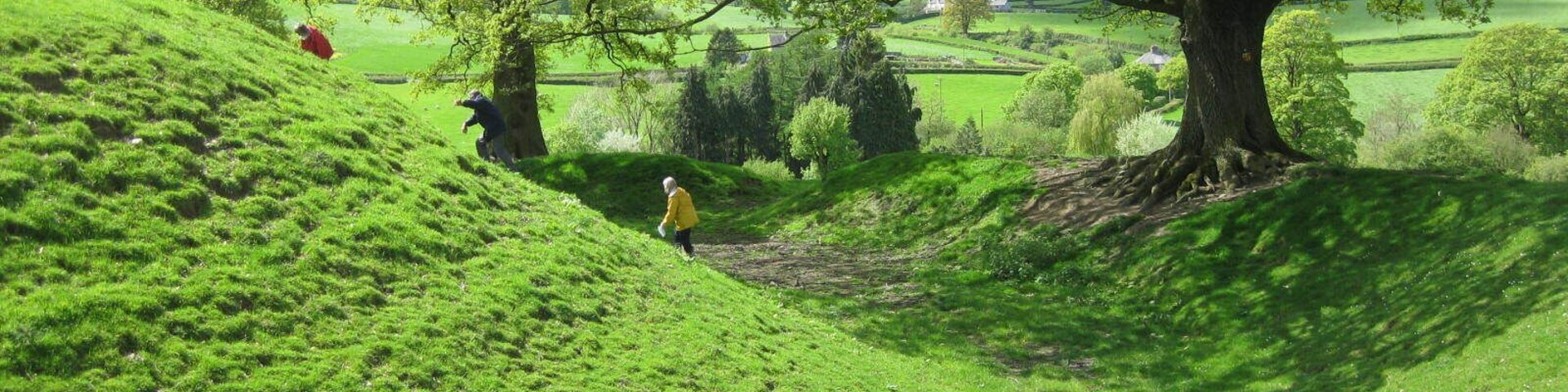 Un paisaje verde exuberante con colinas ondulantes, un árbol grande y una persona caminando por un sendero con una chaqueta amarilla.