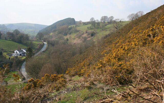 View over the Cefn Canol valley View over the Cefn Canol valley from a public footpath which climbs through heathland towards an unnamed 332m summit north west of Rhydycroeasau. The flowering gorse in the foreground is in contrast with the green pastures of the valley