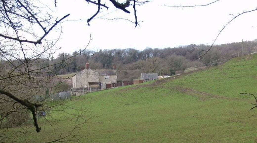 Nutree Farm, near Llynclys A typical livestock farm which is also doing some stuff with ponies.
