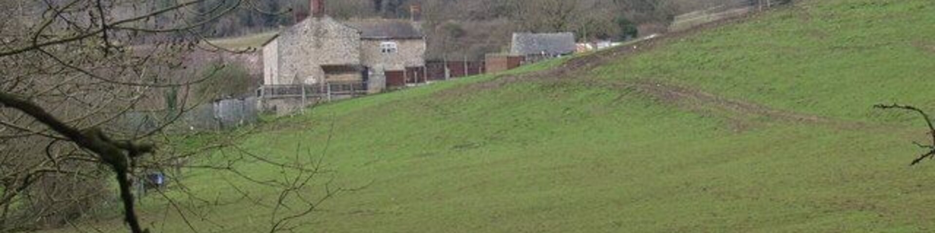 Nutree Farm, near Llynclys A typical livestock farm which is also doing some stuff with ponies.