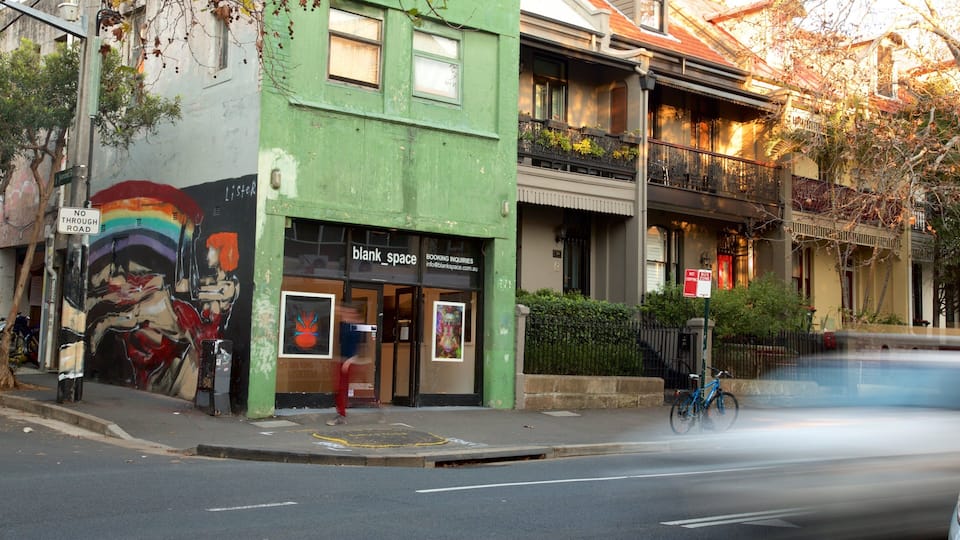 Surry Hills showing outdoor art
