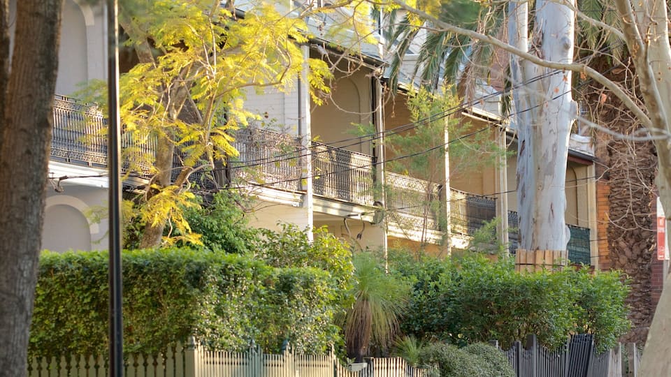 Surry Hills showing a house