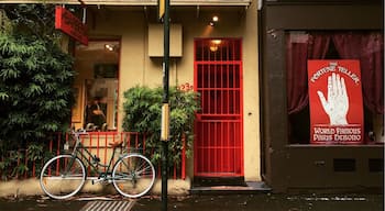 Terrace houses that you see all around Sydney. Most of them have very distinct and beautiful balconies.