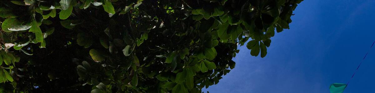 Limeira, São Paulo, Brasil: A Catedral de Nossa Senhora das Dores é um templo religioso católico localizado no município brasileiro de Limeira