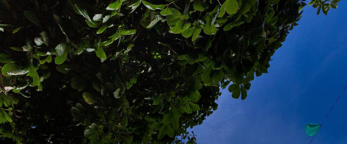 Limeira, São Paulo, Brasil: A Catedral de Nossa Senhora das Dores é um templo religioso católico localizado no município brasileiro de Limeira