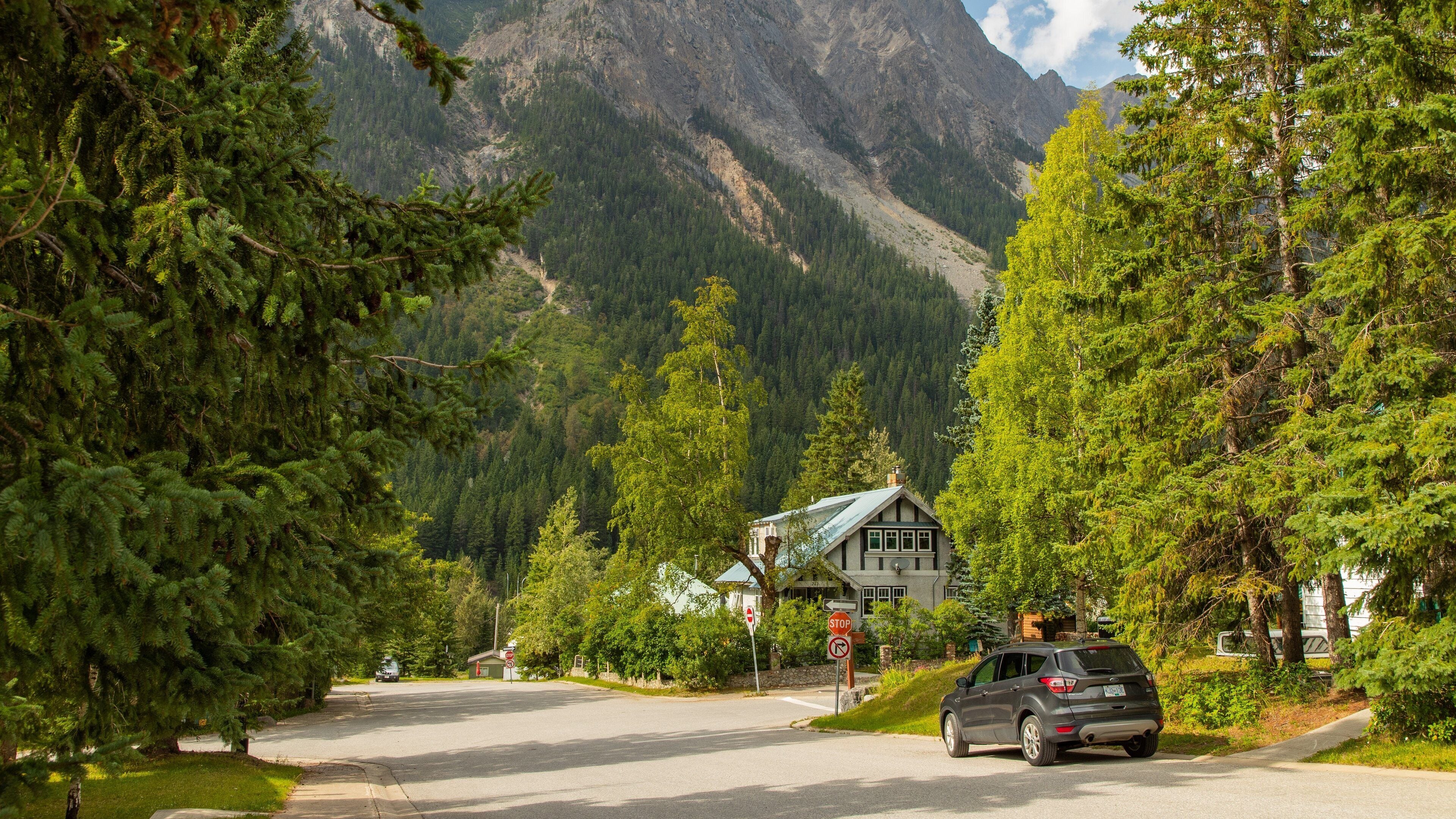 Field showing a small town or village and mountains