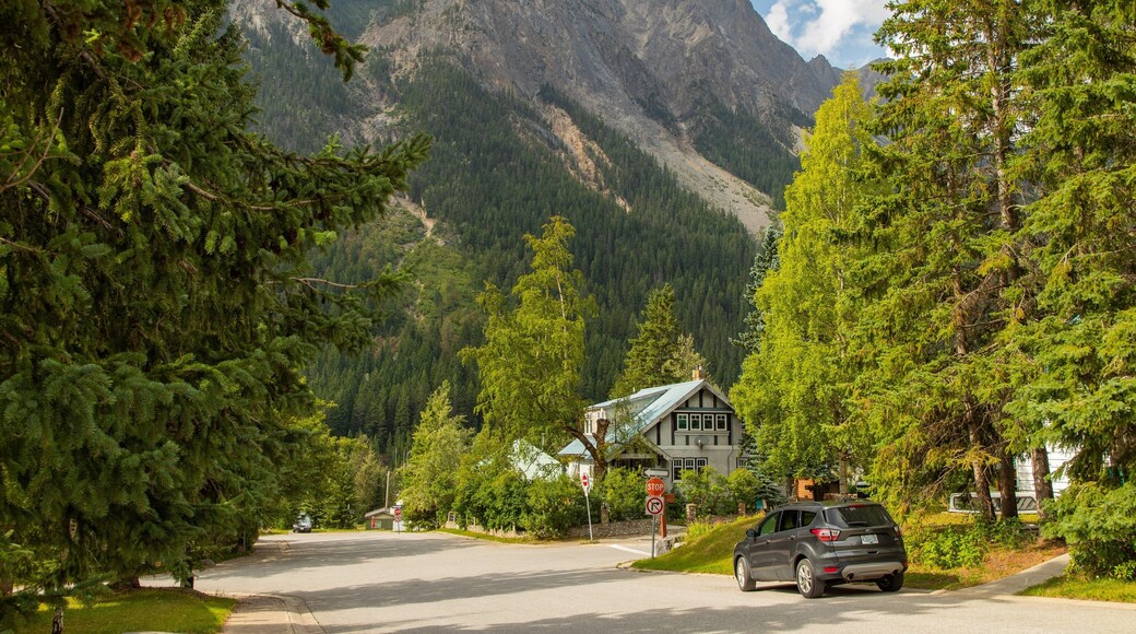 Field showing a small town or village and mountains