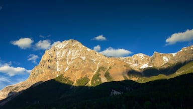 Field showing mountains