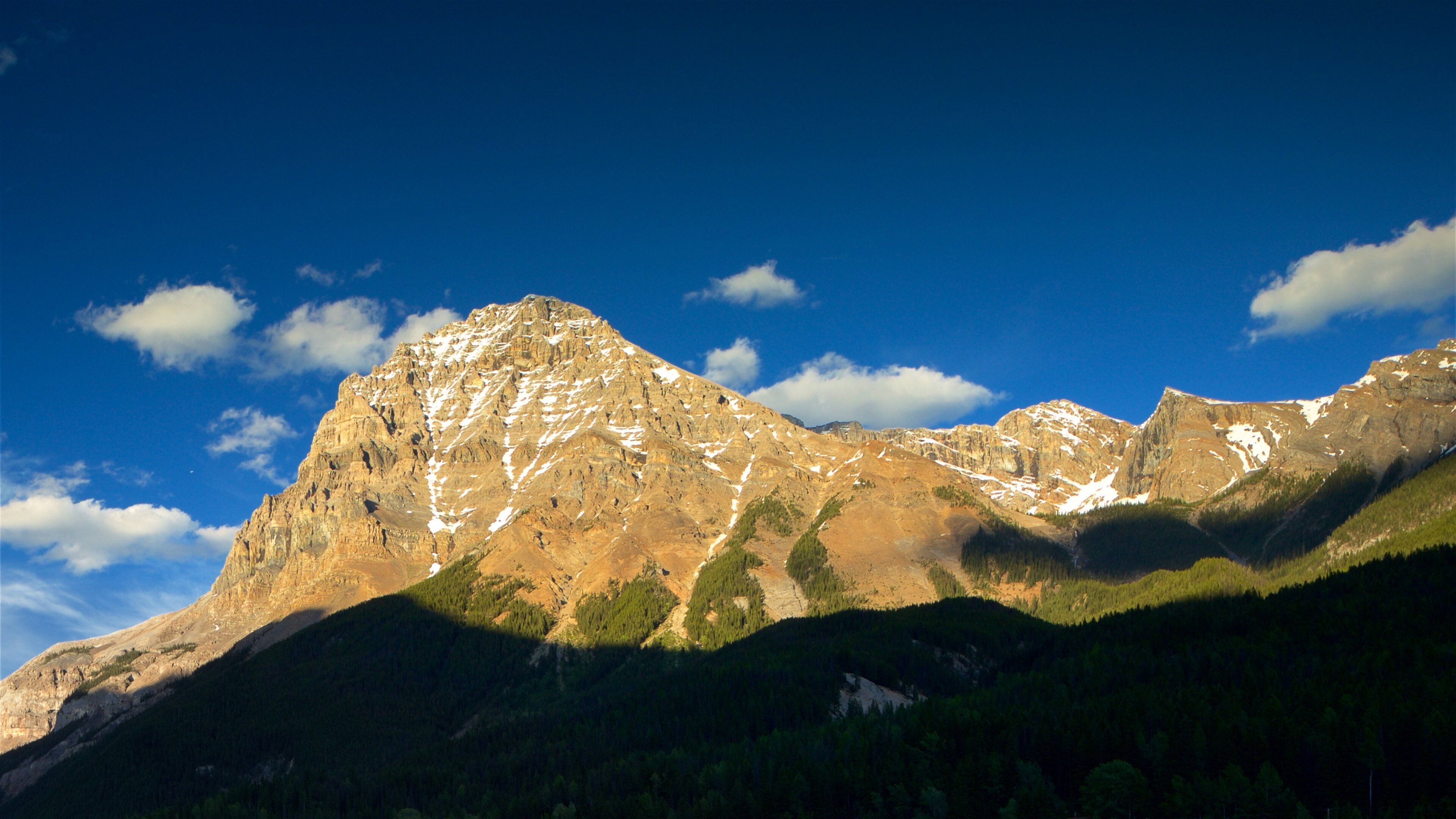 A mountain range with snow-capped peaks and dense forests at its base.