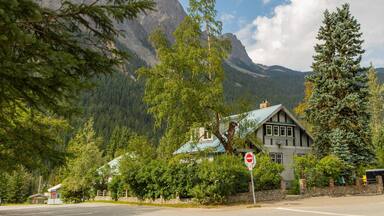 Field featuring a small town or village and a house