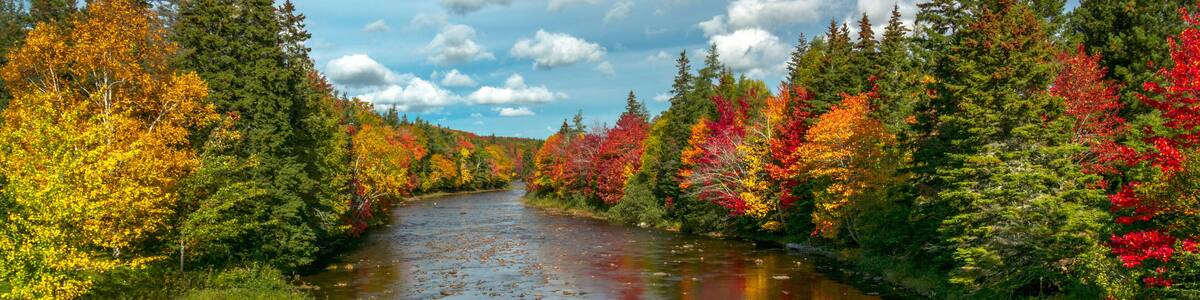 Fall Colors in Cape Breton -The trees and their foliage are in full autumn colors in rural Cape Breton and cast a nice reflection onto the watery surface of a rive.