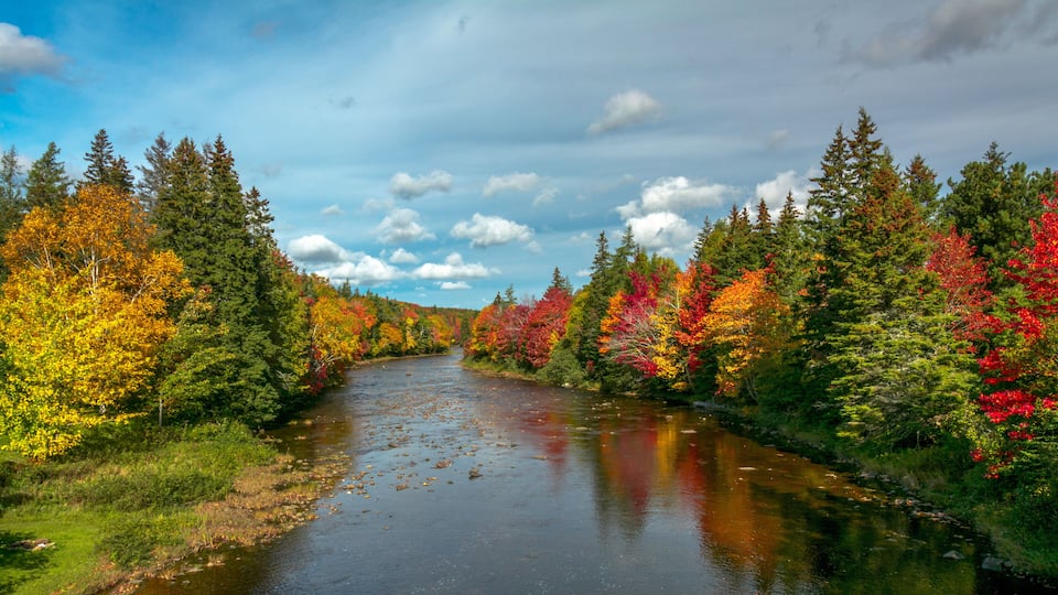 A river surrounded by autumn-colored trees.