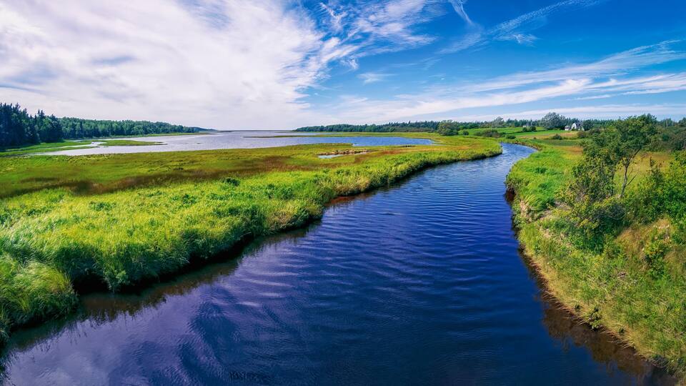 A river meandering through a lush green landscape with a clear sky.
