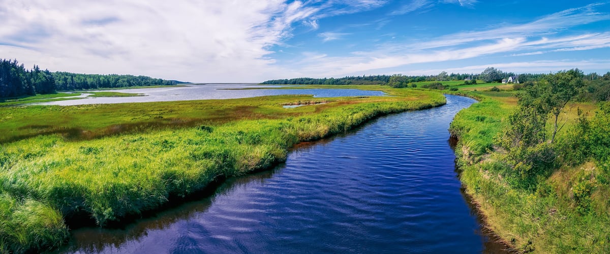 River and marshland on Cape Breton Island near the Atlantic Ocean in rural Nova Scotia, Canada on a bright sunny summer's day.