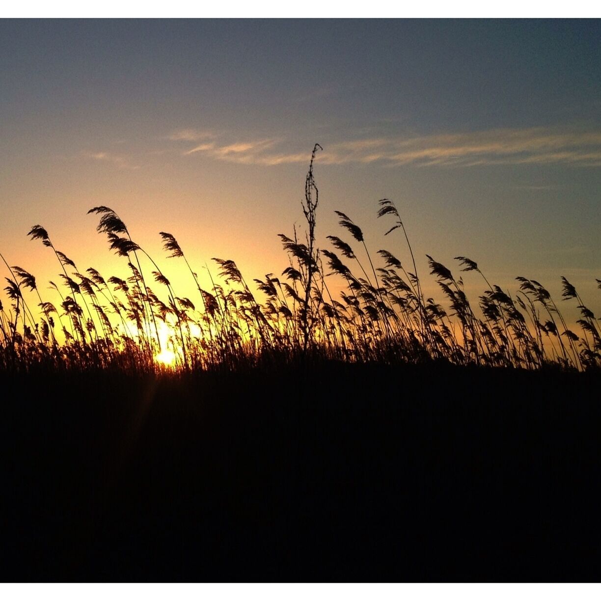 Sunset near faaborg. 