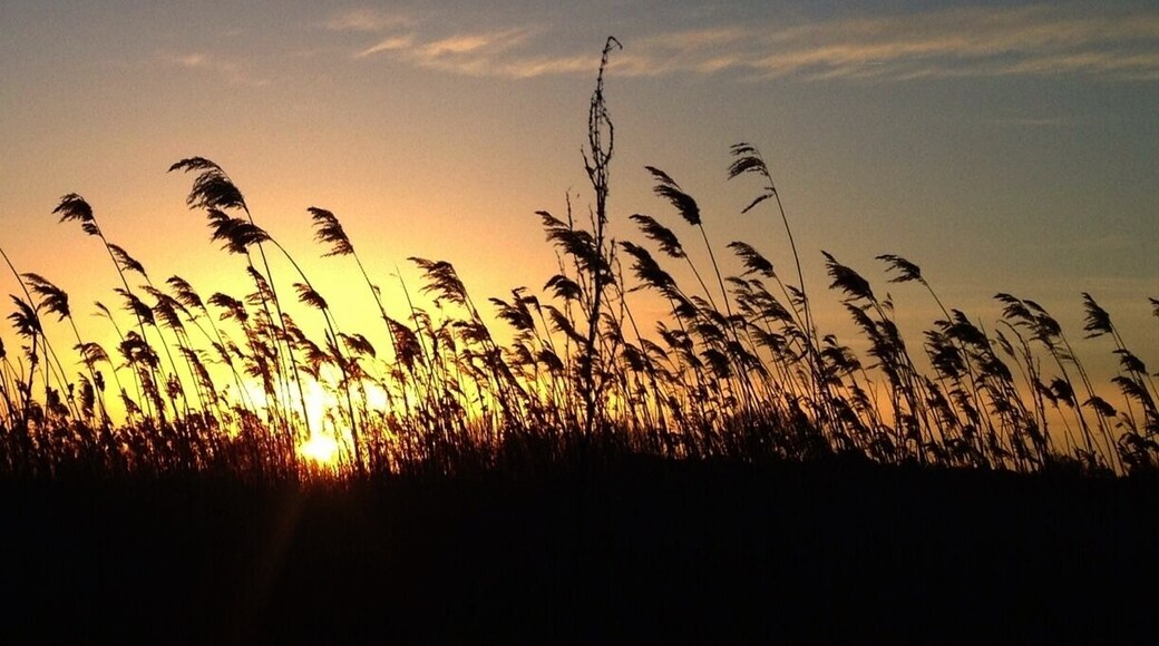 Sunset near faaborg.
