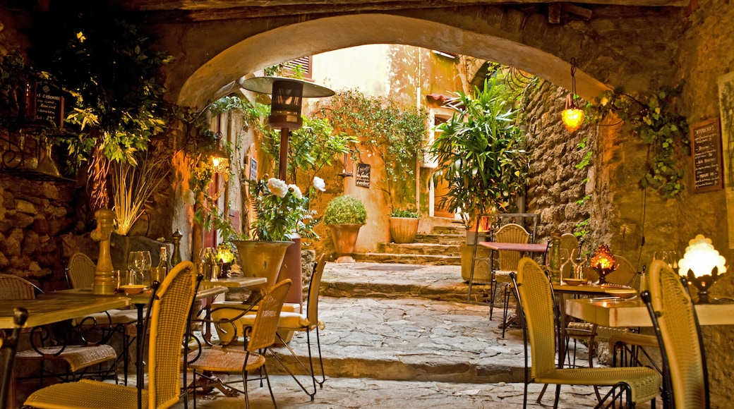 Restaurant in Bormes les Mimosas