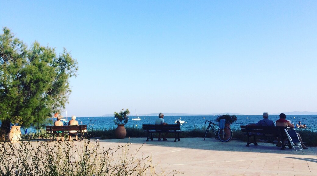 Throwback to summer.