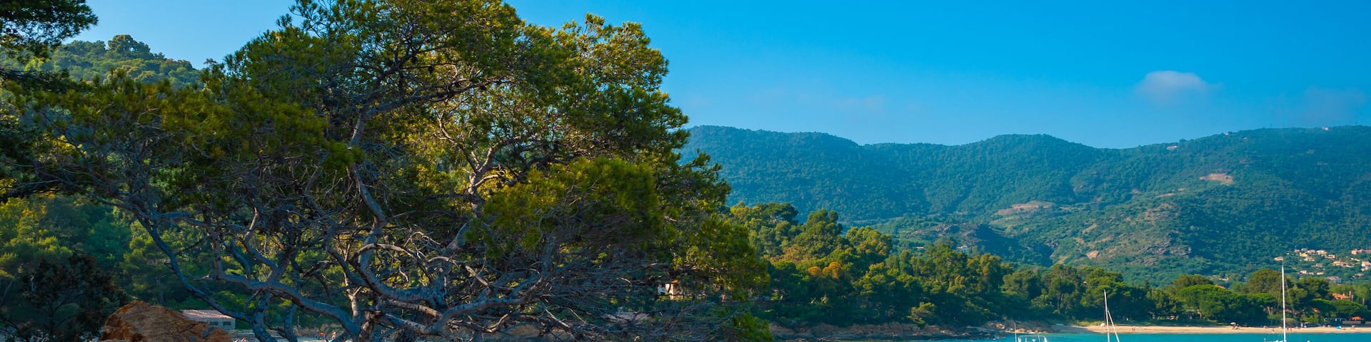 Landscape of the Calanques du Layet in Le Lavandou