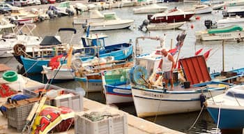 Le Mourillon which includes a marina