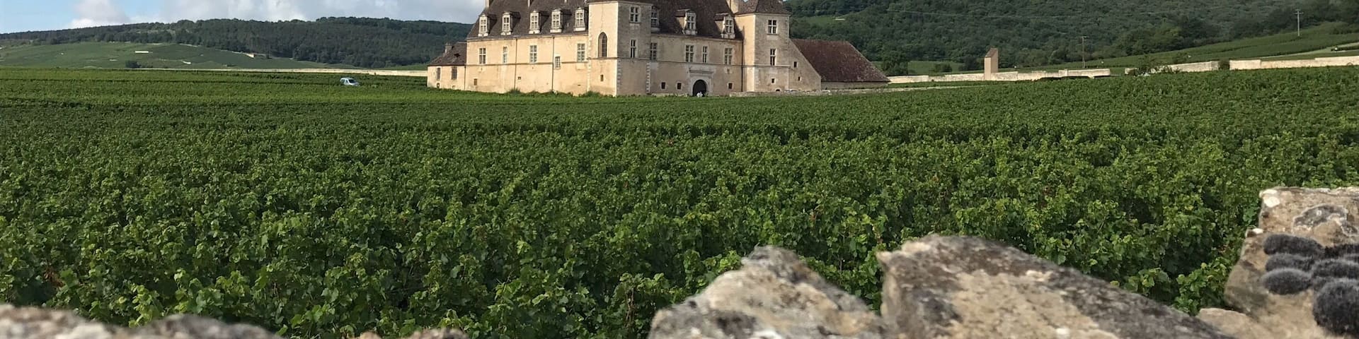 A wonderful stop along the Route des Grands Crus between Dijon and Beaune.