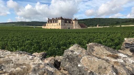 A wonderful stop along the Route des Grands Crus between Dijon and Beaune.