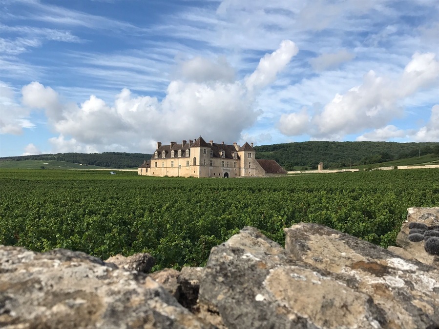 A wonderful stop along the Route des Grands Crus between Dijon and Beaune.