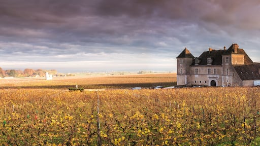 Vougeot castle and vineyards at sunset, panoramic view, Burgundy, France