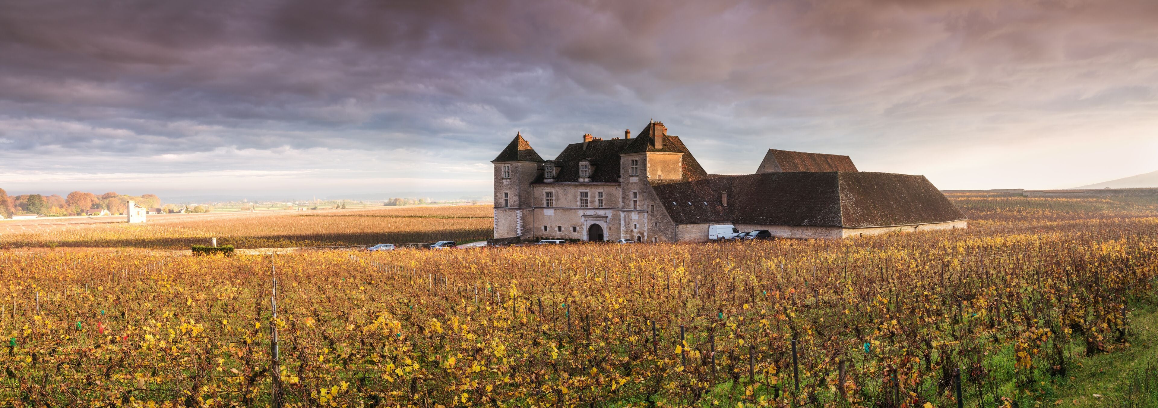 A castle surrounded by a vineyard.
