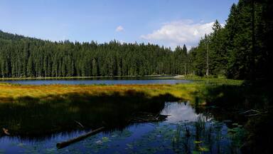 Panoramabild des großen Arbersees im Bayerischen Wald