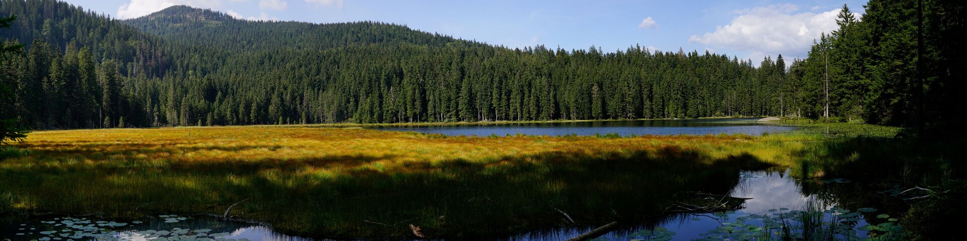 Panoramabild des großen Arbersees im Bayerischen Wald
