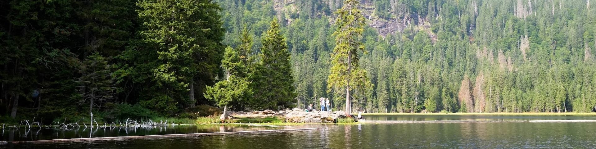 GroĂer Arbersee is a lake in the Bavarian Forest, Bavaria, Germany. It lies at an elevation of 935 metres and has a surface area of 7.7 hectares.