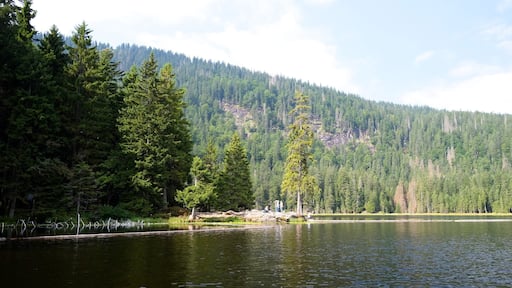 Groรer Arbersee is a lake in the Bavarian Forest, Bavaria, Germany. It lies at an elevation of 935 metres and has a surface area of 7.7 hectares.