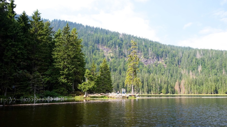 Großer Arbersee is a lake in the Bavarian Forest, Bavaria, Germany. It lies at an elevation of 935 metres and has a surface area of 7.7 hectares.