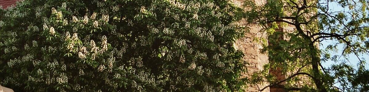 This is a photograph of an architectural monument. It is on the list of cultural monuments of Aderstedt (Bernburg), no. 094 60352