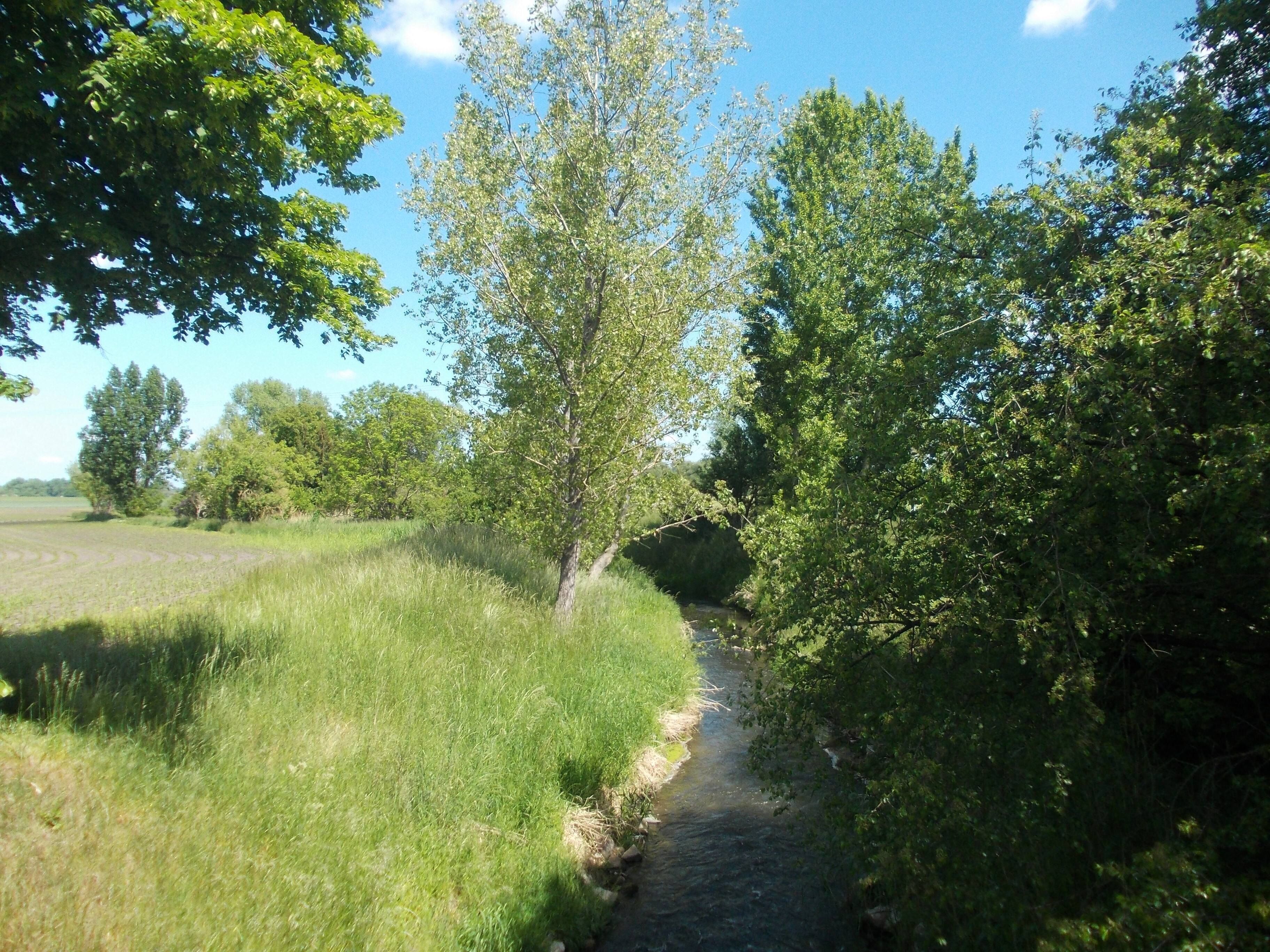 Fuhne river in Preusslitz (Bernburg, district: Salzlandkreis, Saxony-Anhalt)