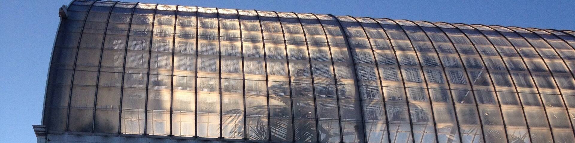 The Palm House in one of Gothenburg's parks. Tropical greenhouse you can visit and walk through.